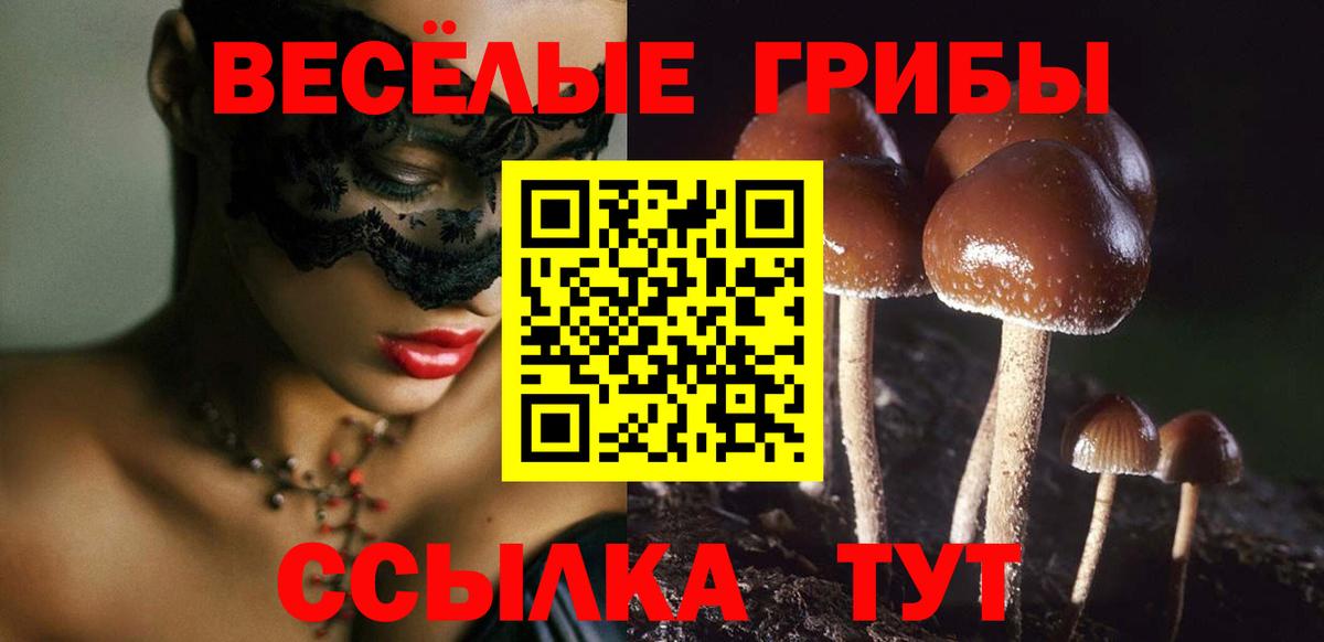 Меф МЯУ МЯУ кристаллы  Гашиш  Экстази  Нижнеудинск  ГАШ  Кокаин  A PVP СОЛЬ кристаллы  АМФЕТАМИН кристаллы  Канабис  Вход с VPN  Каннабис 