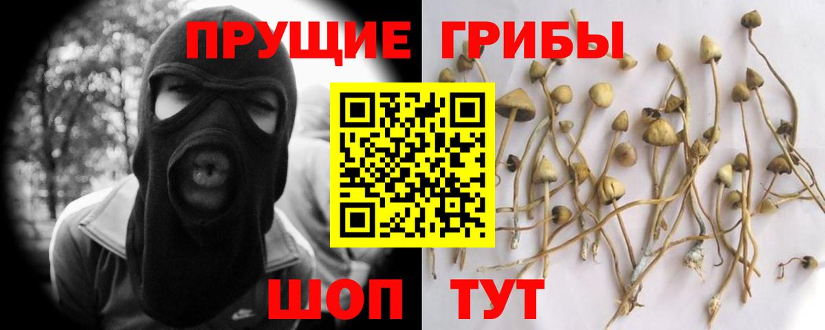 Псилоцибиновые грибы прущие грибы  Псилоцибиновые грибы ЛСД  Нижнеудинск  Вход с VPN 